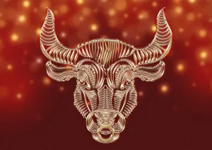 taurus post image