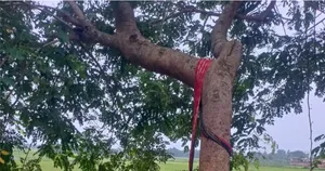hanging post image