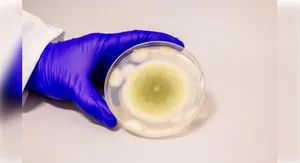 fungus post image