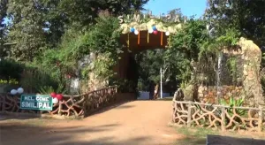 Similipal pic 1 post image