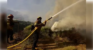 forest fire post image