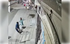 lion escape-cctv post image
