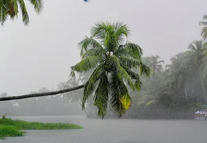 NULL post image