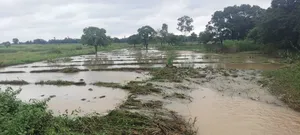 Heavy rain post image