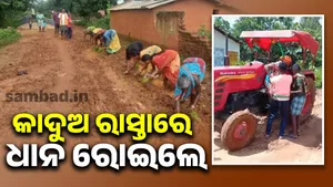 Protest against paddy cultivation on muddy roads: Demand for tarmac roads post image