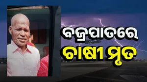 banrapala post image