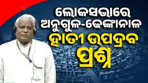 Elephant corridor in the state: Central government issues special plan post image