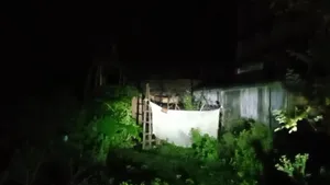 JSG post image