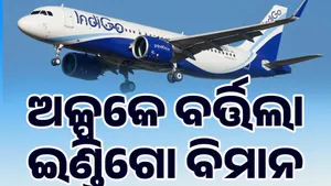 indigo post image