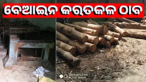 patnagarh post image