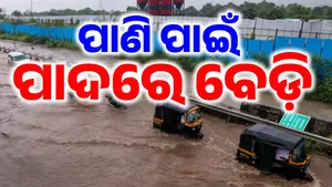 mumbai rain post image