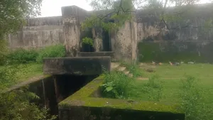Untitled post image