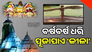 Puri post image