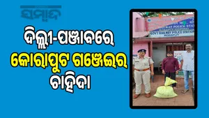Youth caught smuggling marijuana: 17 cases in 7 months post image