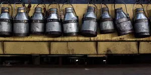 milk post image