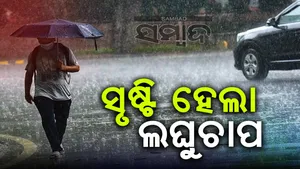 rain post image