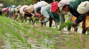 Farmers post image