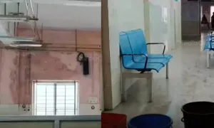 1001125005