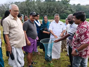 SAJI CHERUYAN FISH FARM