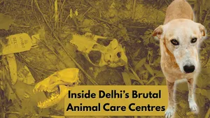 Delhi’s Horrific Animal Care Reality
