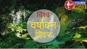 World rainforest day