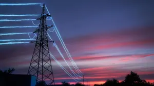 electricity privatisation