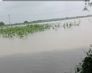 शाहजहांपुर