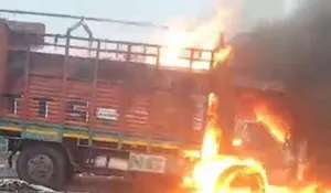 वाईवीएन
