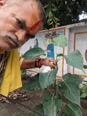 रामपुर
