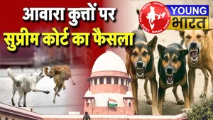सुप्रीम कोर्ट का बड़ा फैसला— 'नसबंदी के बाद कुत्तों को छोड़ दें...' | यंग भारत न्यूज