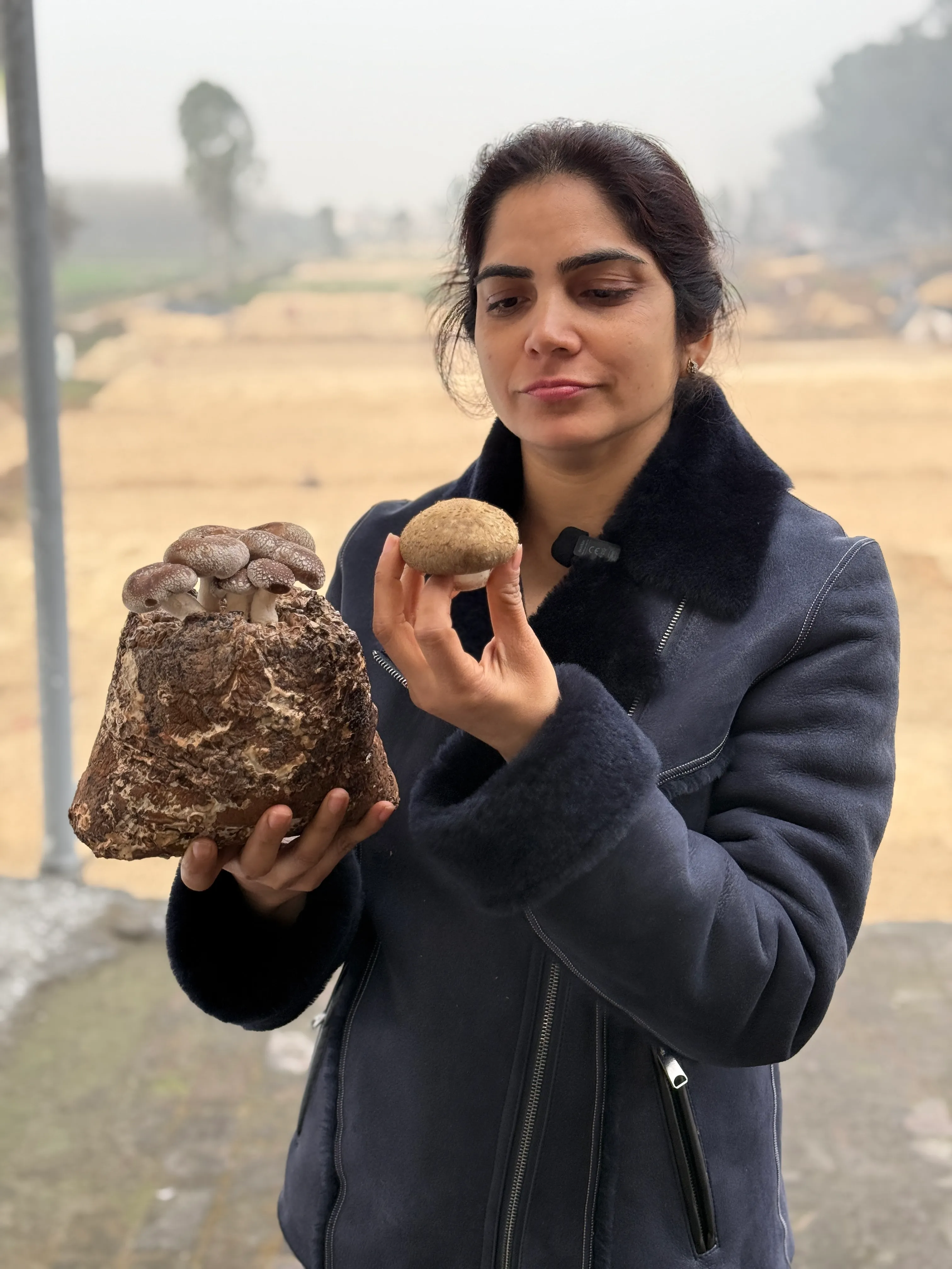 Poonam Sharma with Harvested Mushrooms from Planet Mushroom Farm