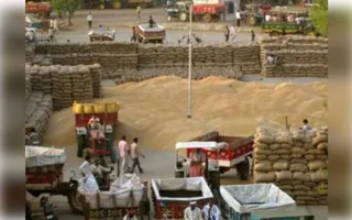 Odisha deploys special teams to check illegal paddy inflow