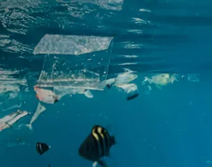 WEF 2025: 25 countries unite to fight against global plastic pollution, climate change