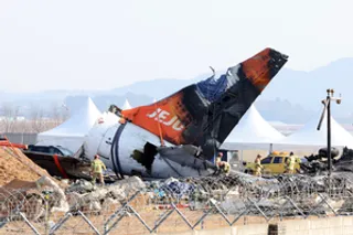 Jeju Air plane received bird activity warning one minute before black box stopped