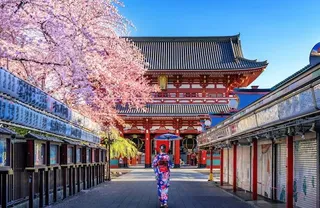 Over 80 percent of Japanese people support capital punishment