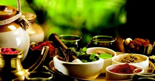 25 countries now legally recognise Ayurveda: Ayush MoS Prataprao Jadhav