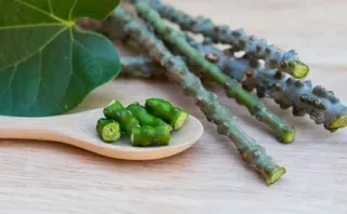 Global research on giloy surges over 375 pc in last 10 years: Ayush Ministry