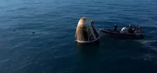 Unplanned welcome: Dolphins greet astronauts as they return home after extended space mission