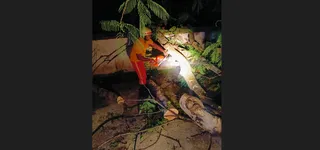 TPNODL's proactive response to ‘Kalbaisakhi’ ensures minimal power disruption