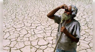 Study finds top 10% of wealthiest individuals responsible for most global emissions