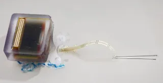 Implantable electronic device restores mobility after spinal cord injury