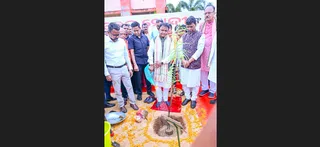 ‘Ek Ped Maa Ke Naam’: Odisha plants 1.5 crore saplings in 12 hours