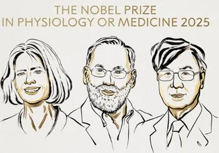 US, Japanese scientists win 2025 Nobel Prize in Medicine for immune system discovery