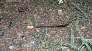 Betel shop owner murdered near Jagatsinghpur Bus Stand; South Indian chopper seized