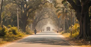 All New Roads in Odisha to Be Developed as Green Corridors: Minister Prithviraj Harichandan