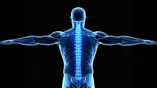 Japanese researchers achieve breakthrough in bone regeneration using stem cells