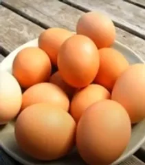 Cancer risk claims around eggs misleading, not scientific: FSSAI