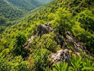 SC to hear suo motu case on Aravalli Hills tomorrow
