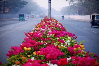 BMC, Nalco Foundation sign MoU for landscaping, median maintenance at these places in Bhubaneswar; find details