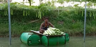 PM Modi hails Odisha's Hirod Patel for approaching farming from a new perspective